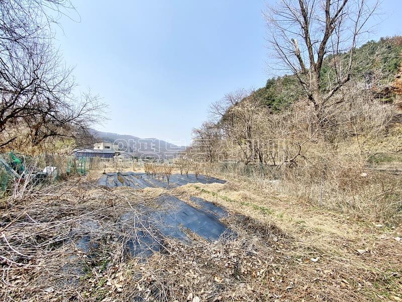 양평군 양서면 목왕리 접근성좋은 평지_15