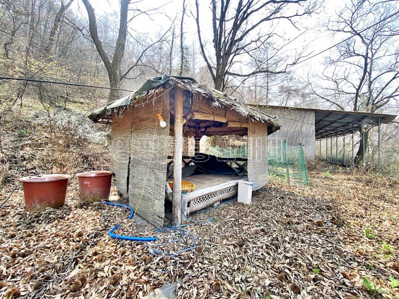 양평군 양서면 목왕리 완경사의 토지_4