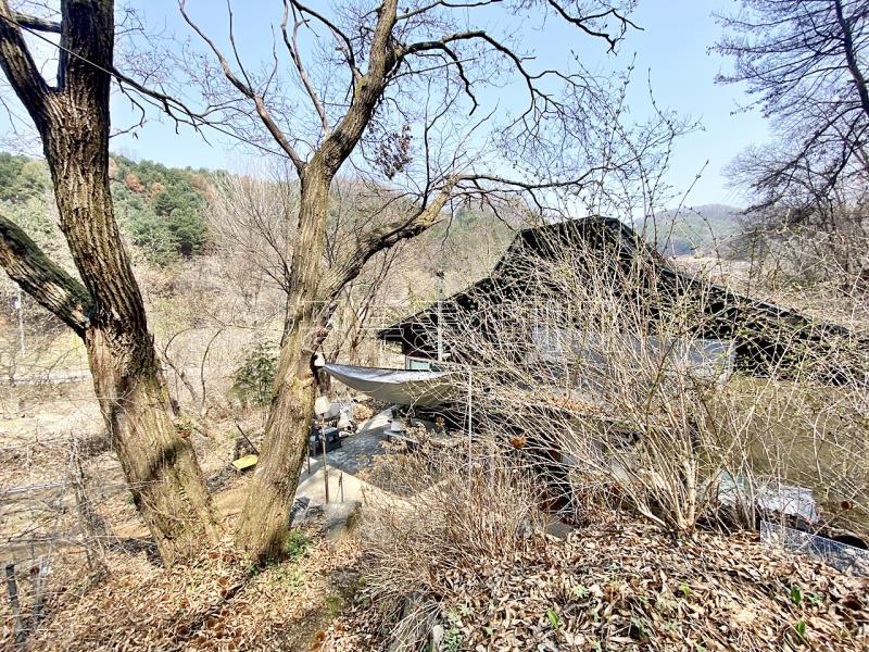 양평군 양서면 목왕리 완경사의 토지_5