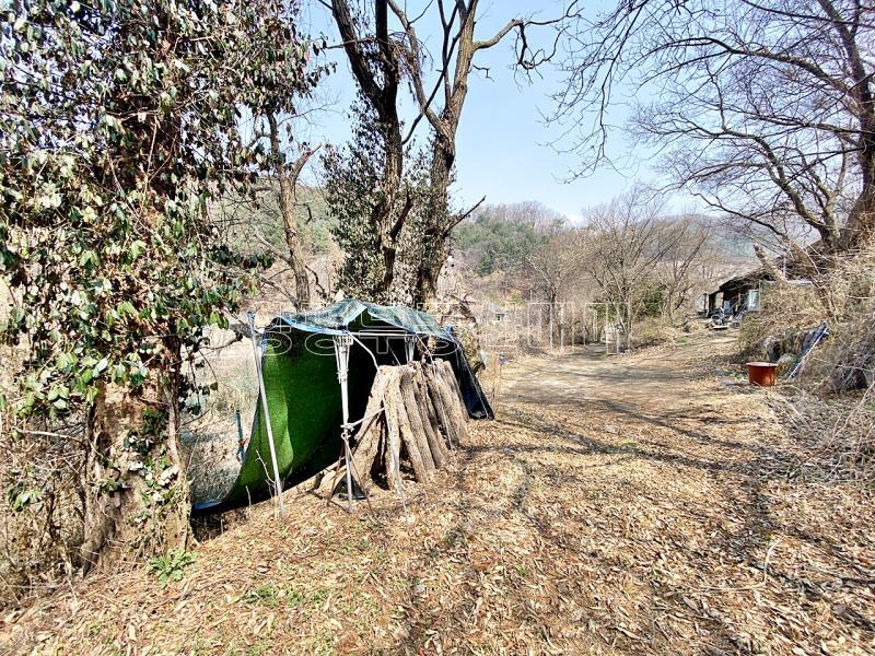 양평군 양서면 목왕리 완경사의 토지_10