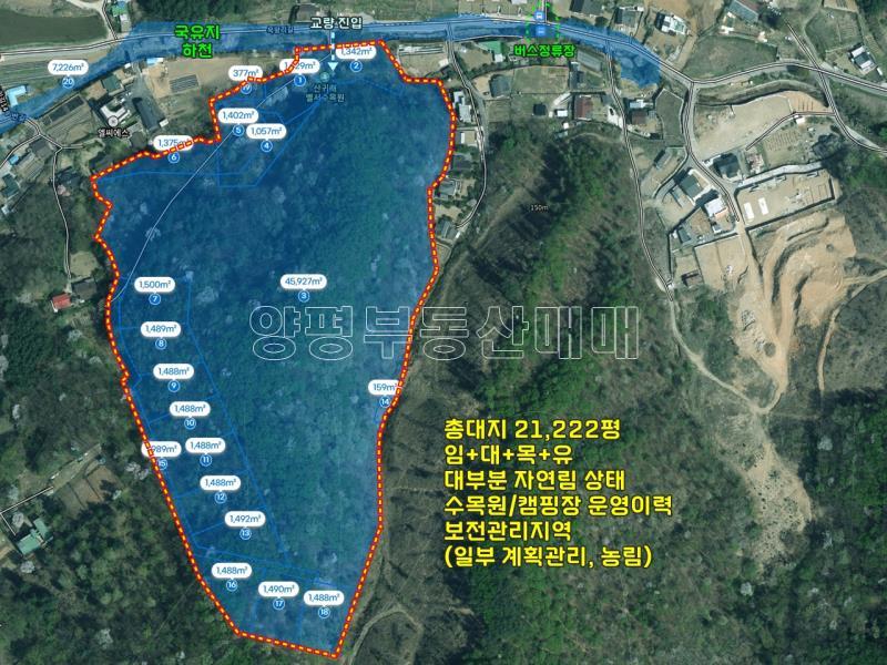 양평군 양서면 목왕리 완경사의 토지_25