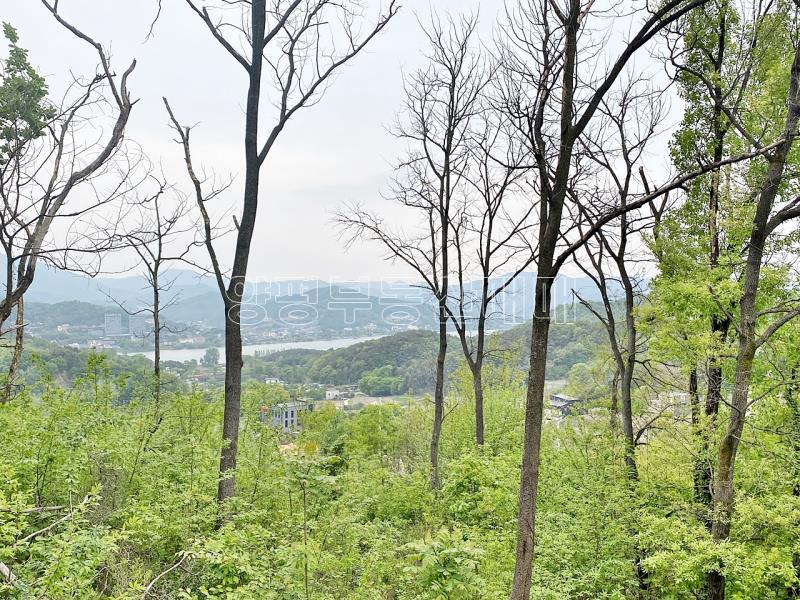 양평군 양서면 복포리 반듯하고 조망좋은 토지_1
