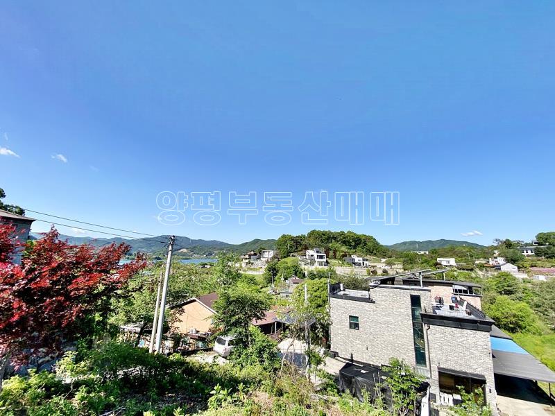 양평군 양서면 대심리 강조망토지_6