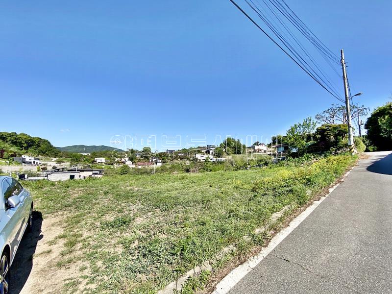 양평군 양서면 대심리 강조망토지_11