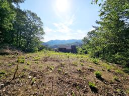 양평군 옥천면 신복리 계획관리 토지_썸네일_2