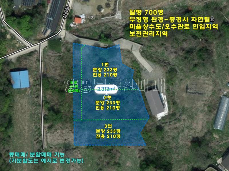 양평군 옥천면 아신리 임야 분할하여 매매가능_12