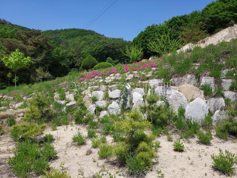 양평군 양동면 계정리 체류형 쉼터등 가능토지 저렴한가격_4
