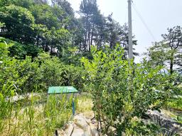 양평군 옥천면 아신리 田 미개발토지_썸네일_10