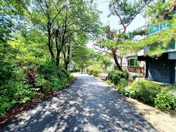 양평군 옥천면 용천리 명당자리 토지_썸네일_1