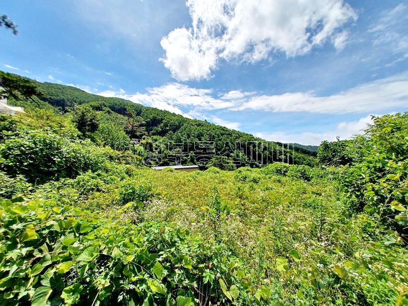 양평군 옥천면 용천리 명당자리 토지_7