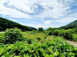 양평군 옥천면 용천리 명당자리 토지_썸네일_9