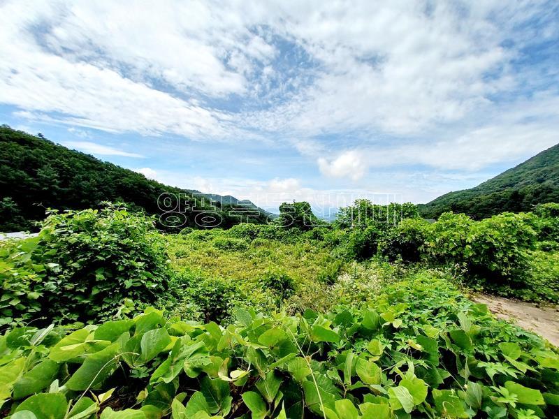 양평군 옥천면 용천리 명당자리 토지_9