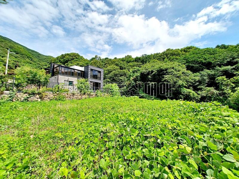 양평군 옥천면 용천리 토목 완료된토지_4