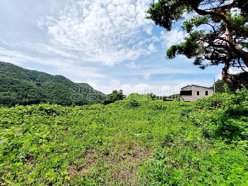 양평군 옥천면 용천리 토목 완료된토지_9