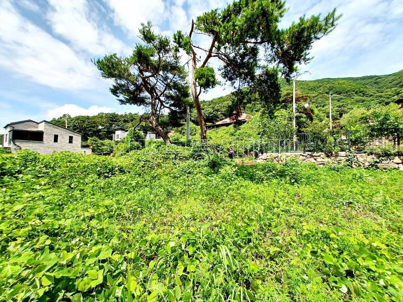 양평군 옥천면 용천리 토목 완료된토지_12