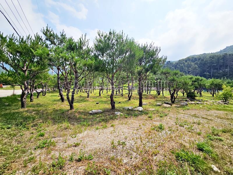 양평군 옥천면 신복리 2차선변 계획관리토지_2