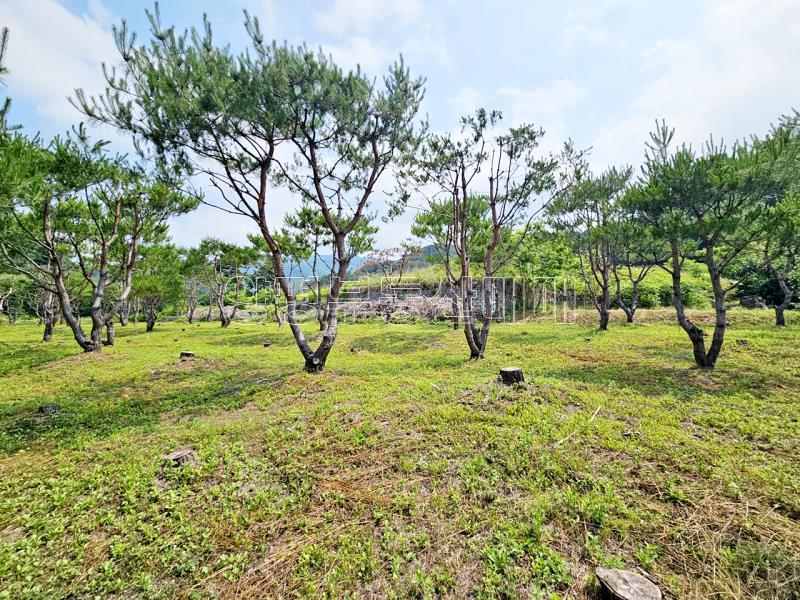 양평군 옥천면 신복리 2차선변 계획관리토지_4
