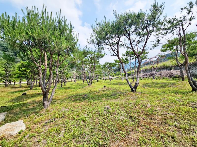 양평군 옥천면 신복리 2차선변 계획관리토지_5