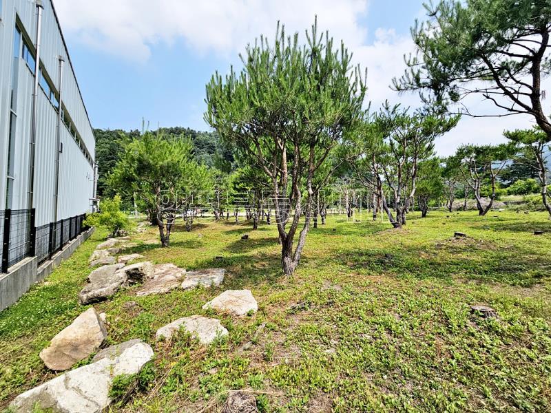 양평군 옥천면 신복리 2차선변 계획관리토지_6