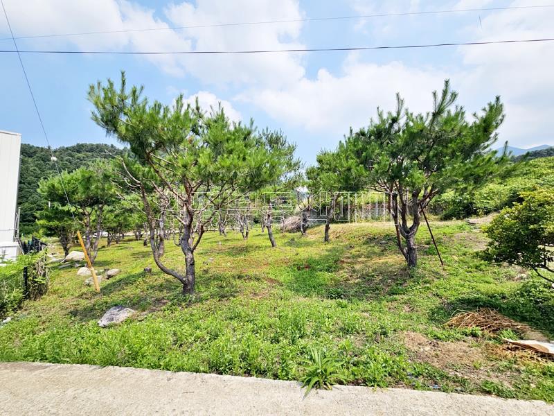 양평군 옥천면 신복리 2차선변 계획관리토지_7