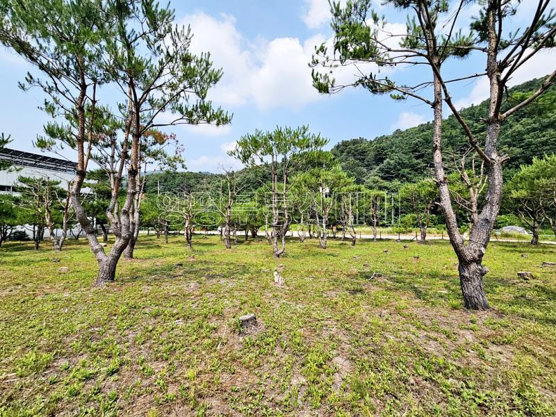 양평군 옥천면 신복리 2차선변 계획관리토지_10