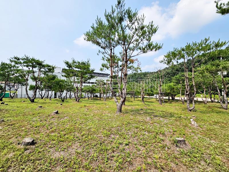 양평군 옥천면 신복리 2차선변 계획관리토지_11