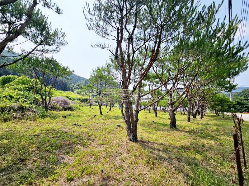 양평군 옥천면 신복리 2차선변 계획관리토지_14