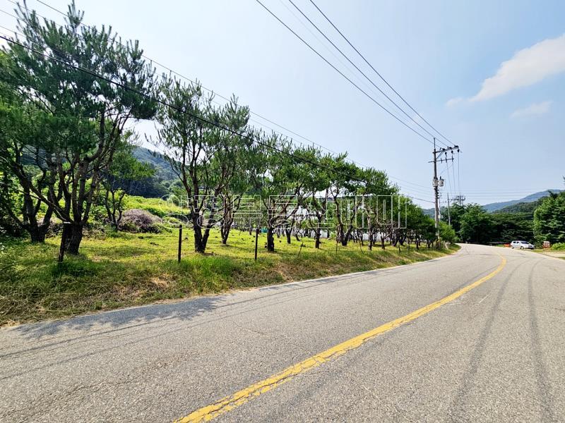 양평군 옥천면 신복리 2차선변 계획관리토지_15