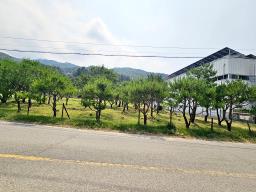 양평군 옥천면 신복리 2차선변 계획관리토지_썸네일_17