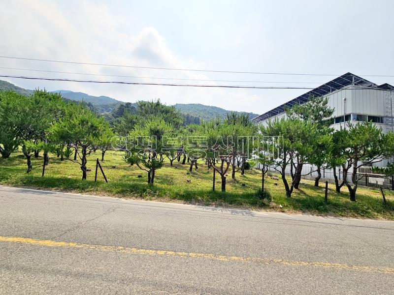 양평군 옥천면 신복리 2차선변 계획관리토지_17