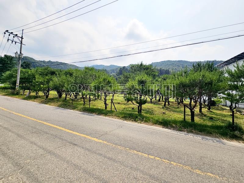 양평군 옥천면 신복리 2차선변 계획관리토지_18