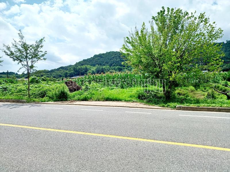 양평군 양서면 옥천면 옥천리 맹지_2