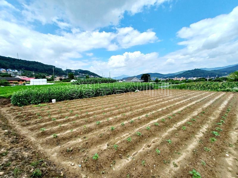 양평군 양서면 옥천면 옥천리 맹지_11