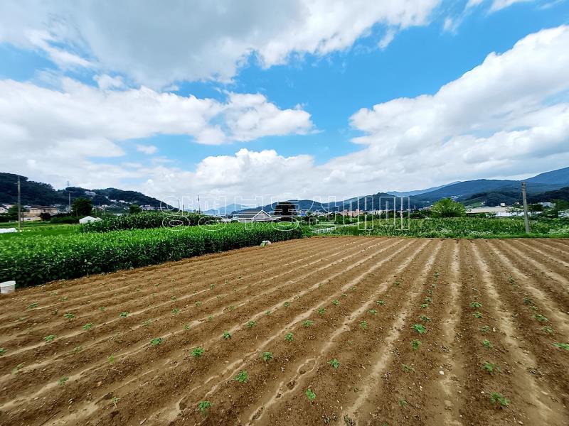 양평군 양서면 옥천면 옥천리 맹지_12