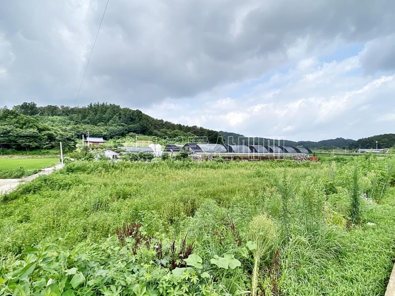 겨기도 여주시 대신면 송촌리 답_7