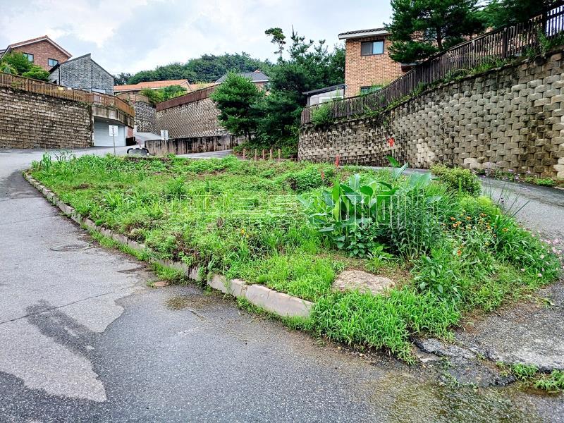 양평군 옥천면 옥천리 田 보전관리_5