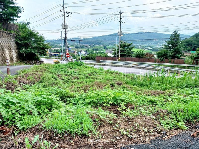 양평군 옥천면 옥천리 田 보전관리_9