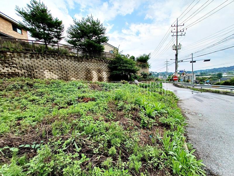 양평군 옥천면 옥천리 田 보전관리_10