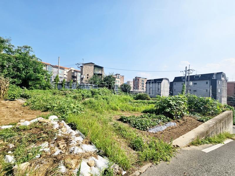양평군 야서면 용담리도시지역 , 자연녹지지역_6