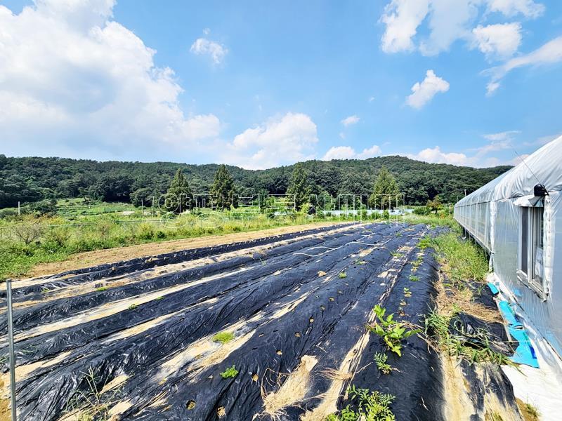 양평군 양서면 부용리 그린벨트 전_11