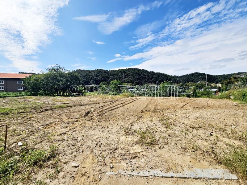 양평군 양서면 부용리 전, 보건관리_10