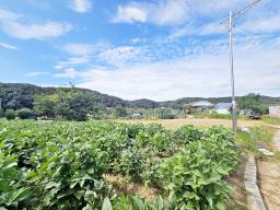 양평군 양서면 부용리 전, 보건관리_썸네일_12
