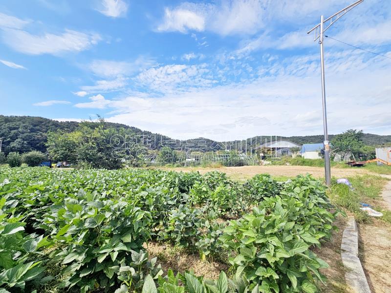 양평군 양서면 부용리 전, 보건관리_12
