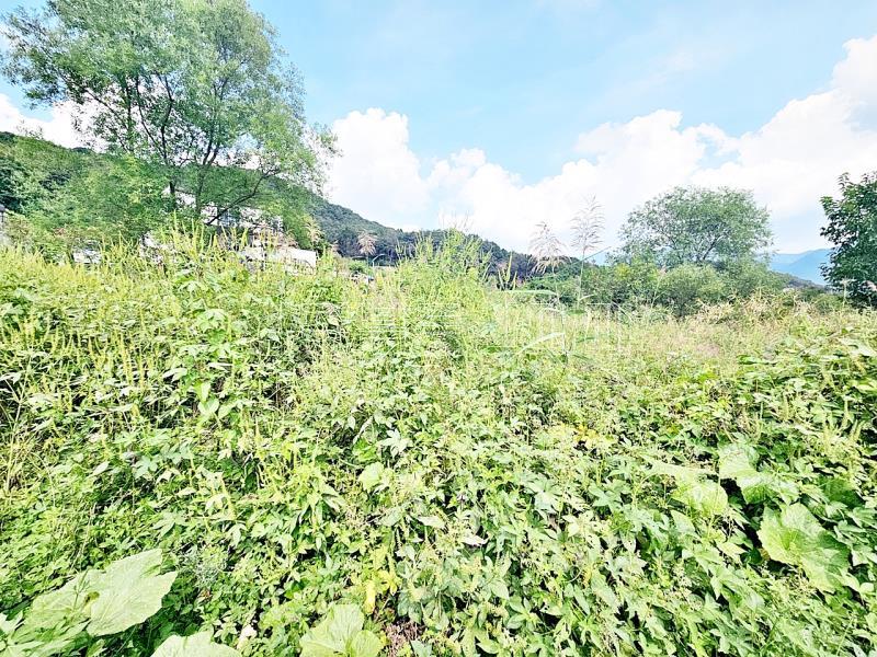 양평군 옥천면 용천리 남향토지_3
