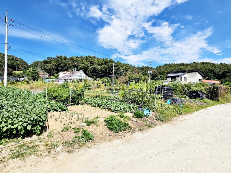 양평군 옥천면 아신리 접근성과 일조권이좋은토지_2
