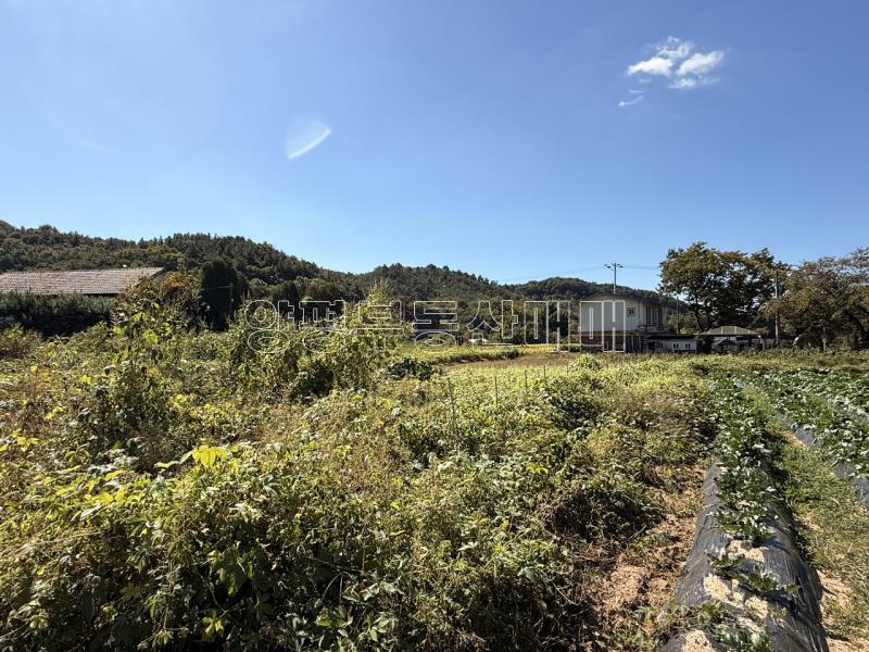 양평군 옥천면 용천리 2차선변 투자부지_3