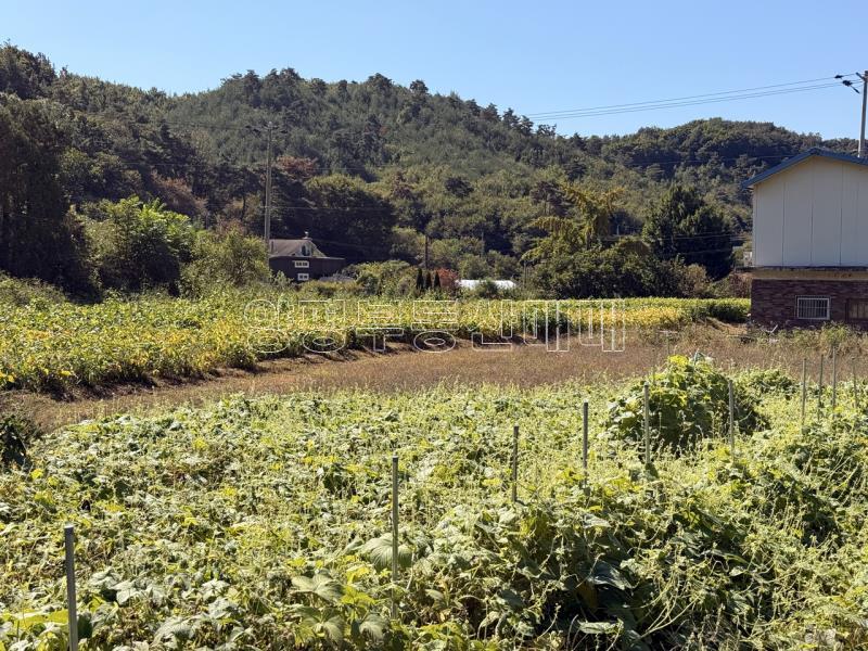 양평군 옥천면 용천리 2차선변 투자부지_5