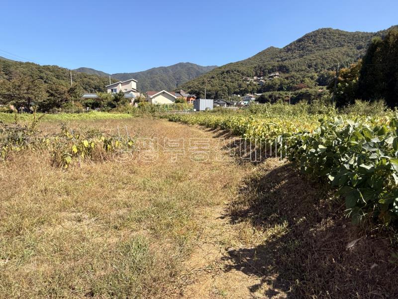 양평군 옥천면 용천리 2차선변 투자부지_12
