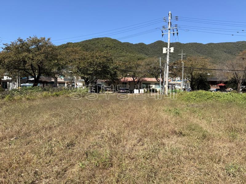 양평군 옥천면 용천리 2차선변 투자부지_17