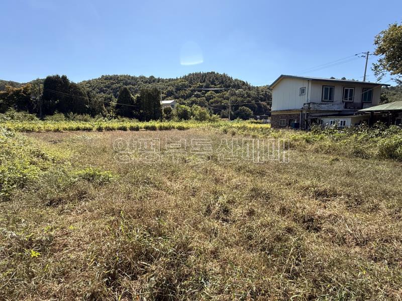 양평군 옥천면 용천리 2차선변 투자부지_22